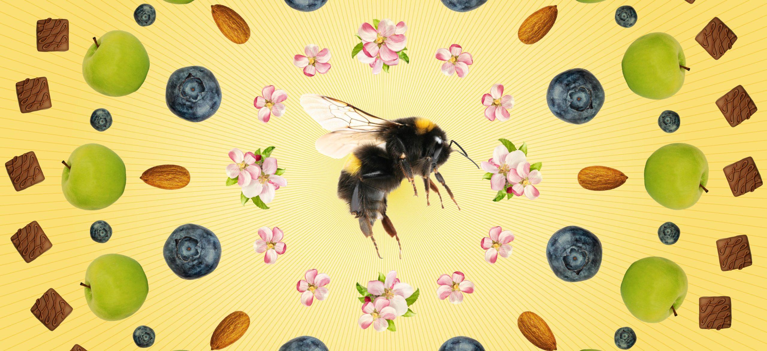 An illustration showing how insect biodiversity affects the foods we eat
