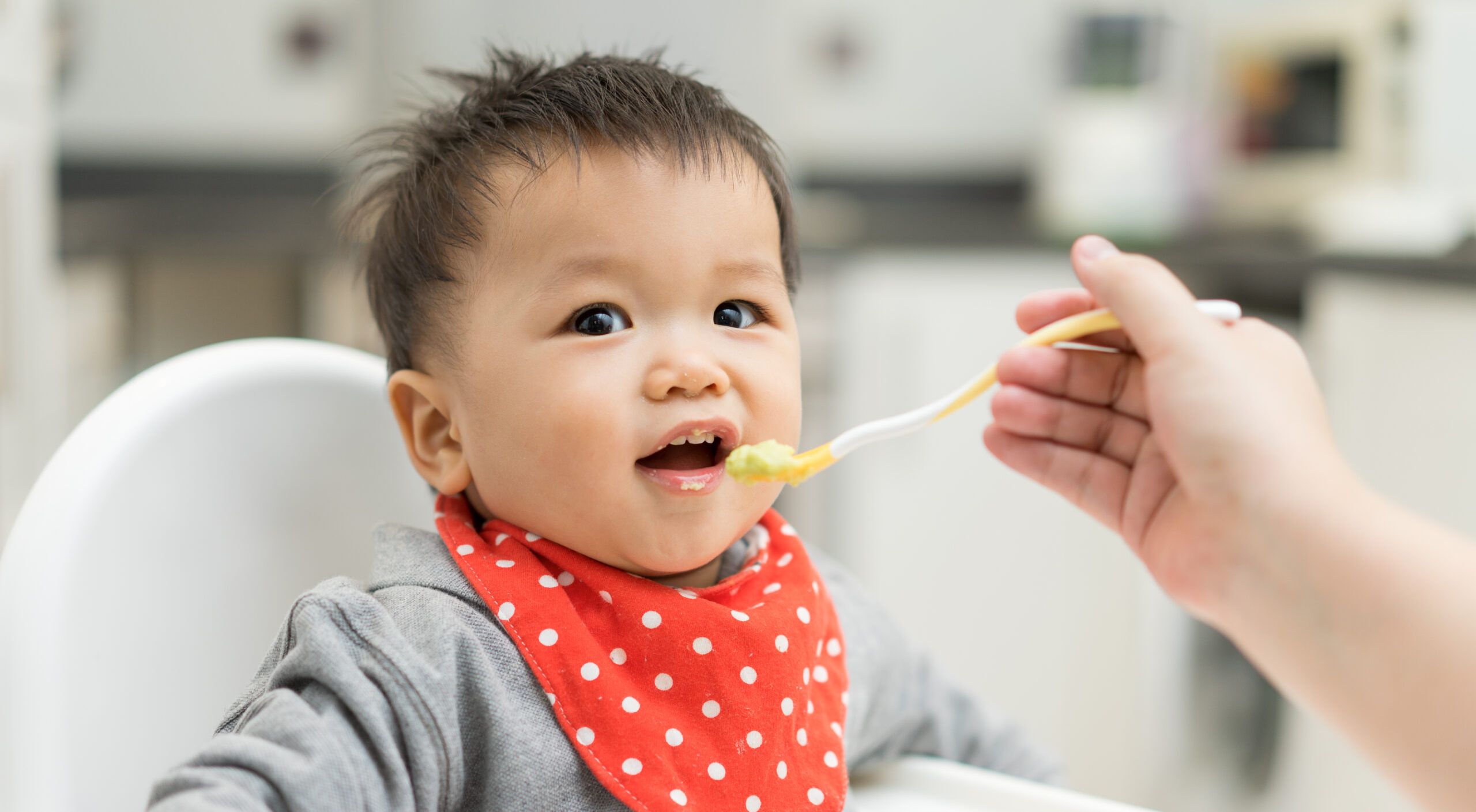 A baby boy eating blend food on a high chair