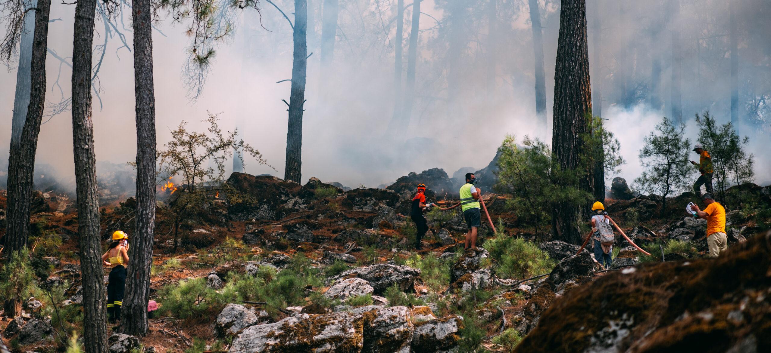 Volunteers responding to wild fire