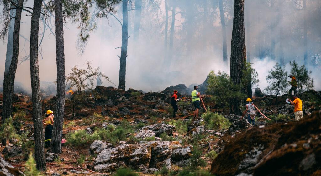 Volunteers responding to wild fire
