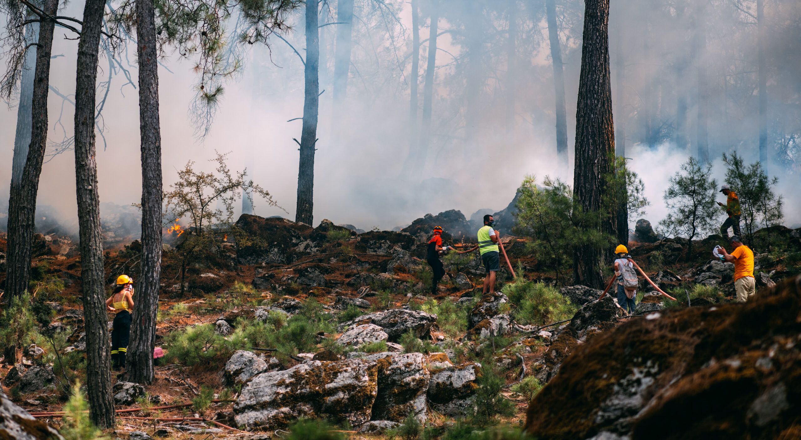 Volunteers responding to wild fire